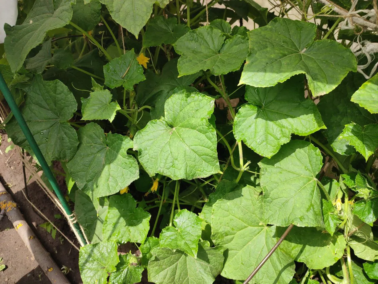 Фото: Елена Забелина