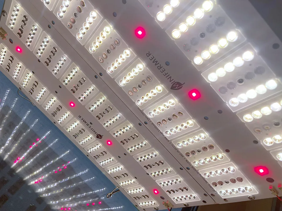 Алина Романова