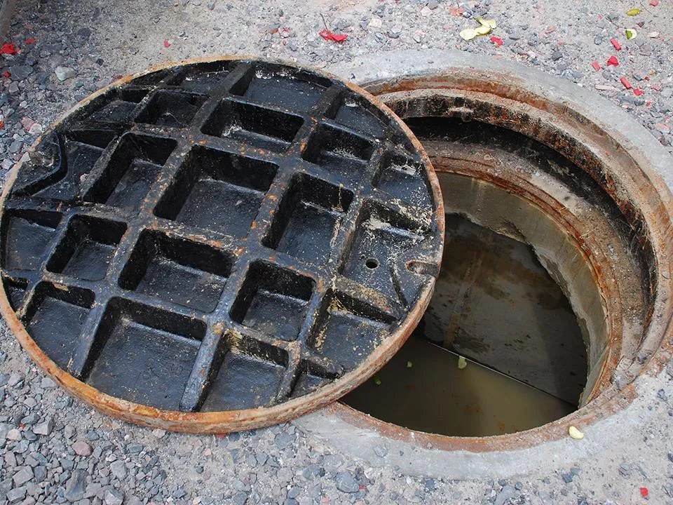 Фото: istockphoto.com/Joel Carillet