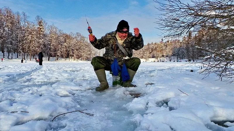 Комитет по туризму МО