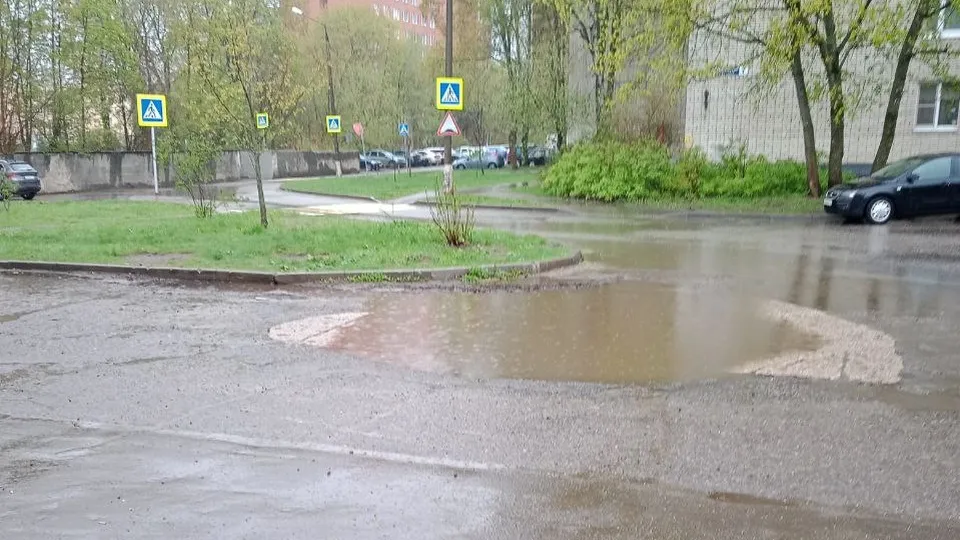 Фото: t.me/chernogolovka_live