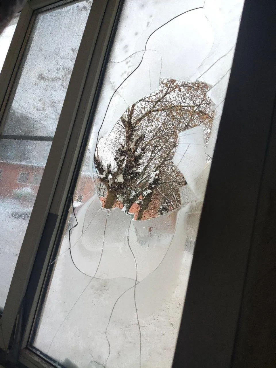 Фото с Telegram-канала "Подслушано Подольск"