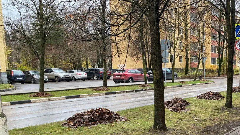 Фото: пресс-служба администрации Наро-Фоминского г.о.