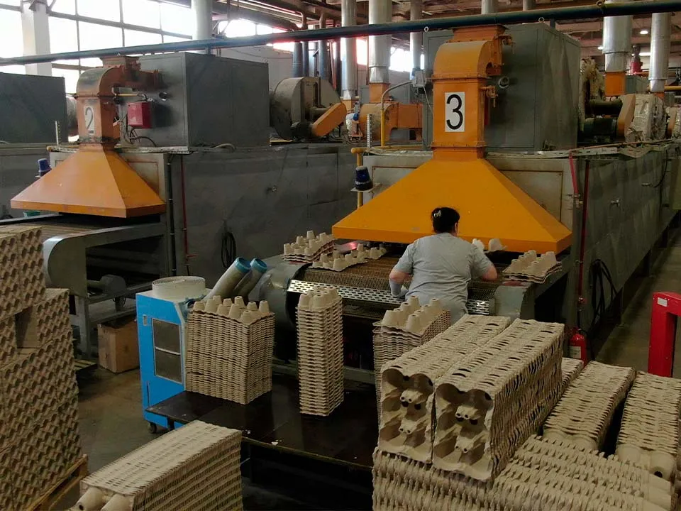 Фото: МедиаБанк Подмосковья/Валентина Максимова&nbsp;