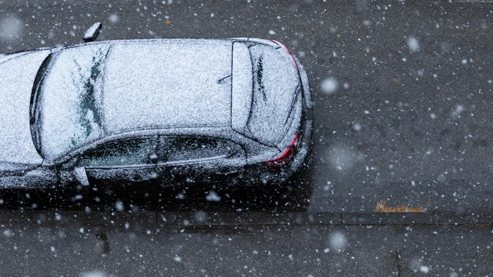 Фото: freepik.com