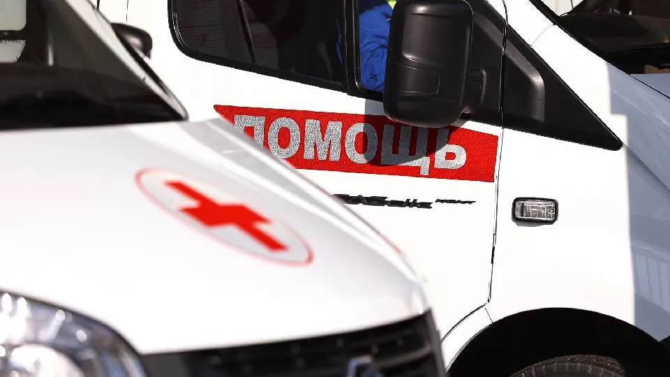 фото: Медиаархив Подмосковья