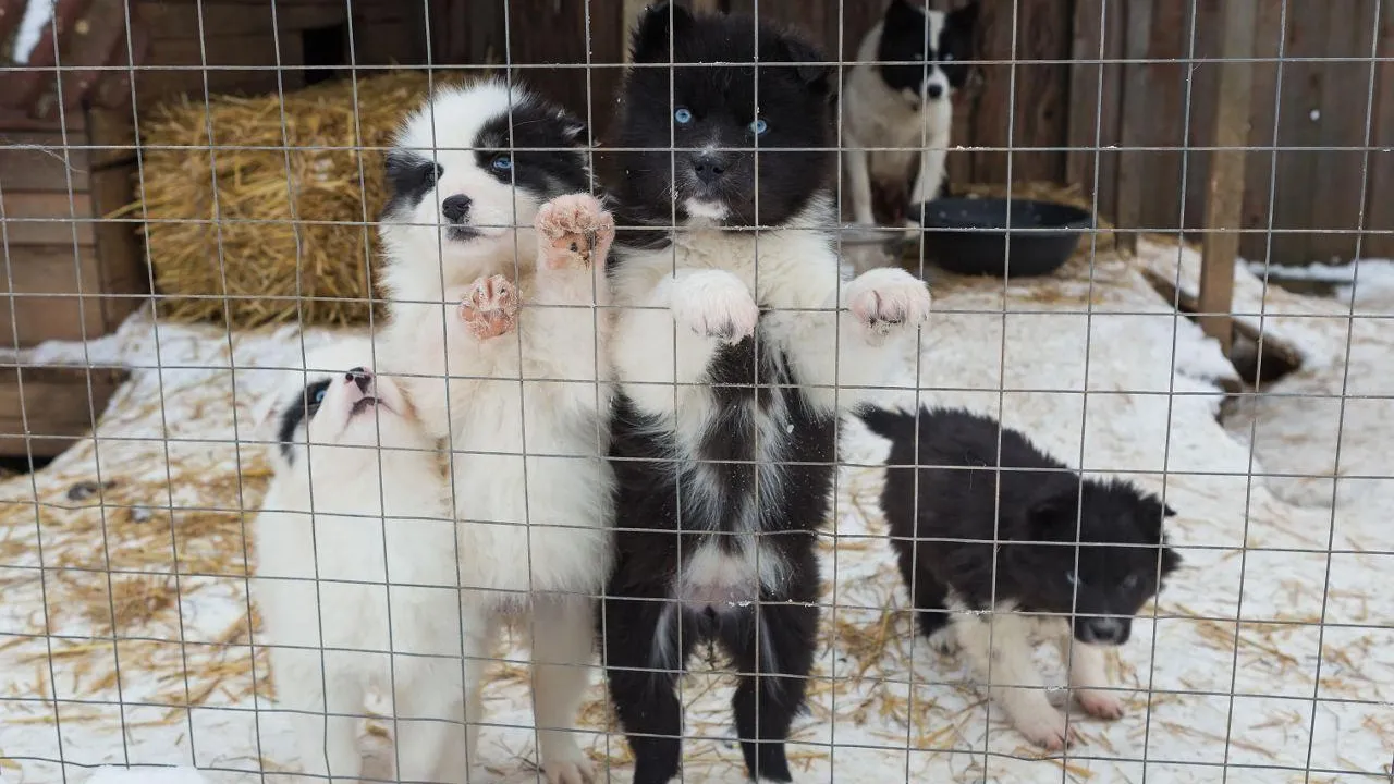 istockphoto.com/Okssi68