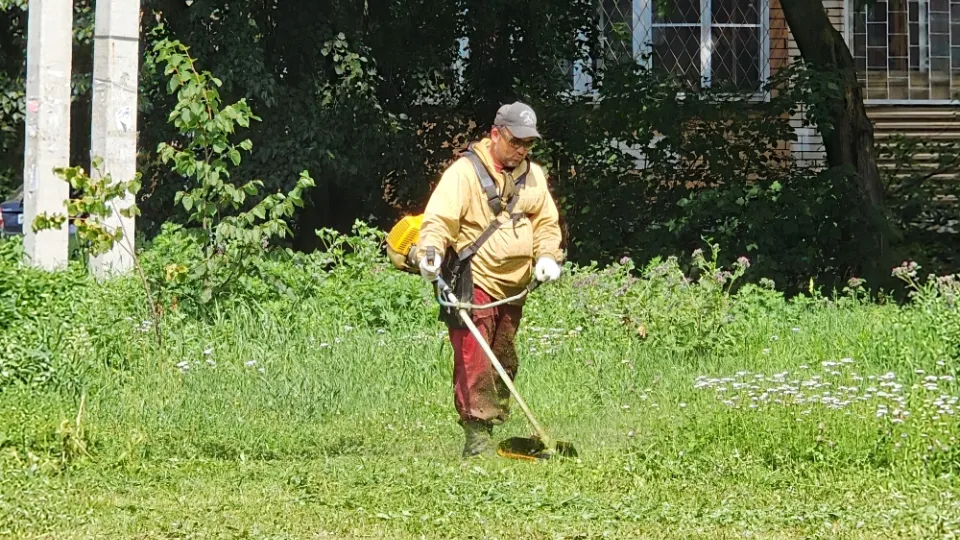 Фото: МедиаБанк Подмосковья/Дмитрий Алексеенко