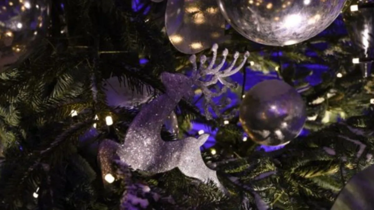 Фото: медиасток.рф