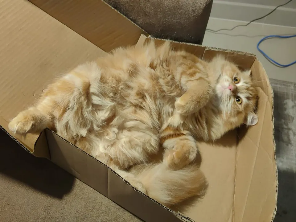 Фото: REGIONS/Наталия Надточая