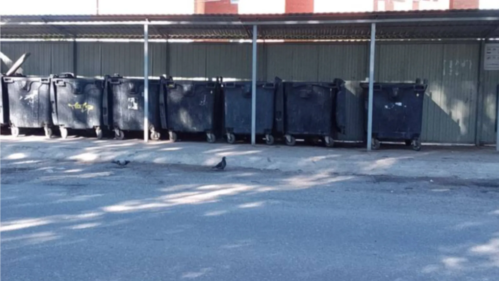 Фото: пресс-служба городского округа Кашира