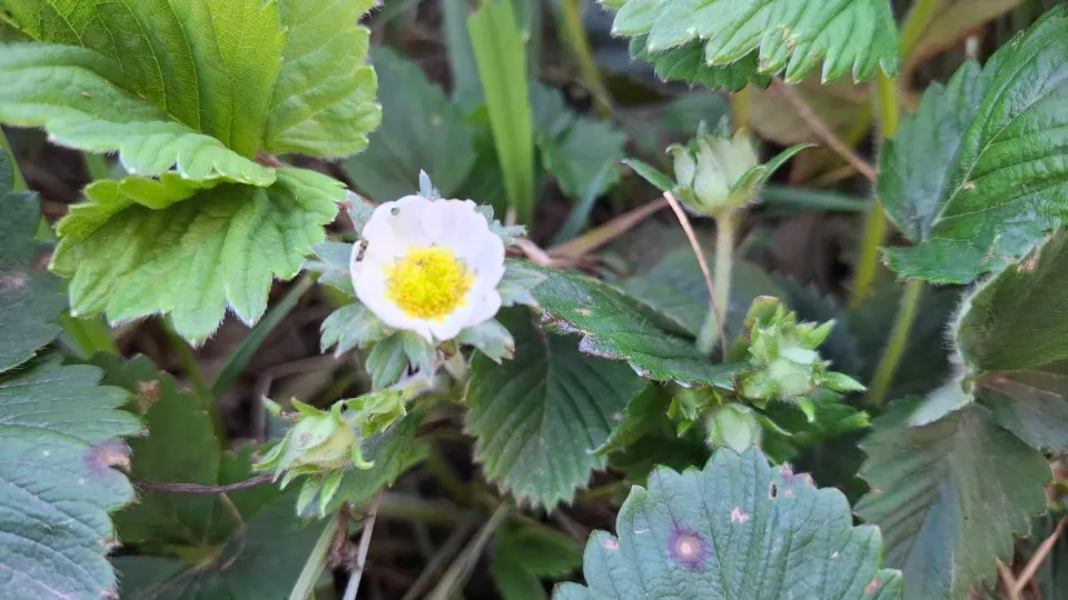 Фото: REGIONS/Юлия Габбасова