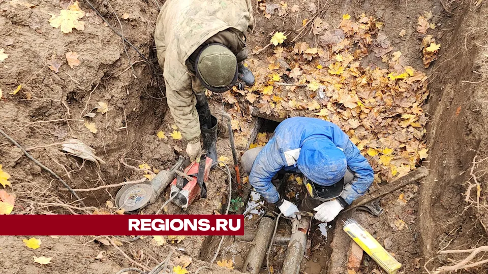 Фото: Дмитрий Алексеенко