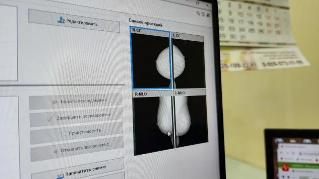 МедиаБанк Подмосковья/Ольга Аввакумова