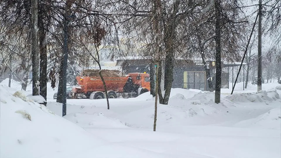 Андрей Башинский