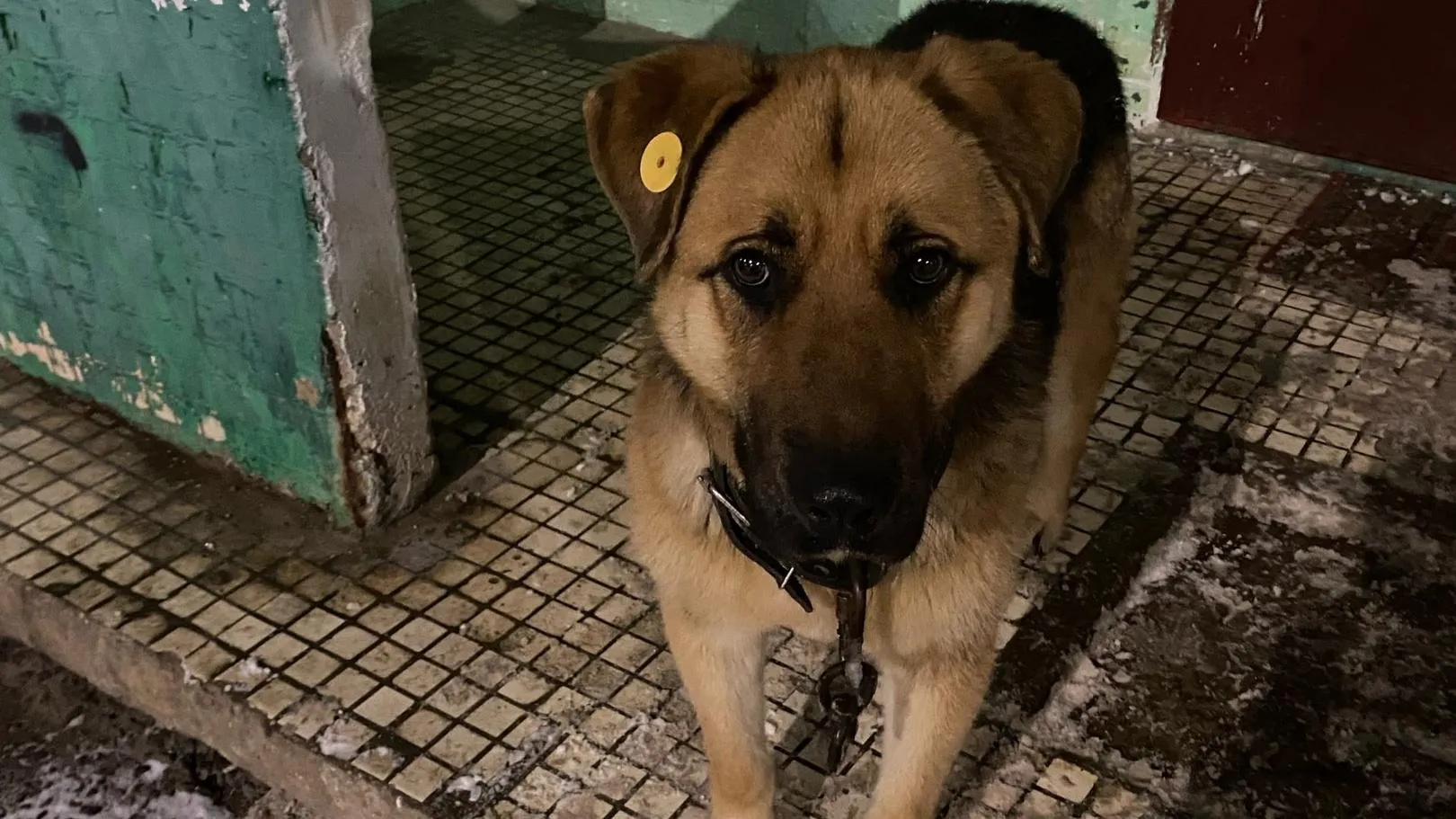 Фото: Подслушано на Глебовке (новая) / ВКонтакте