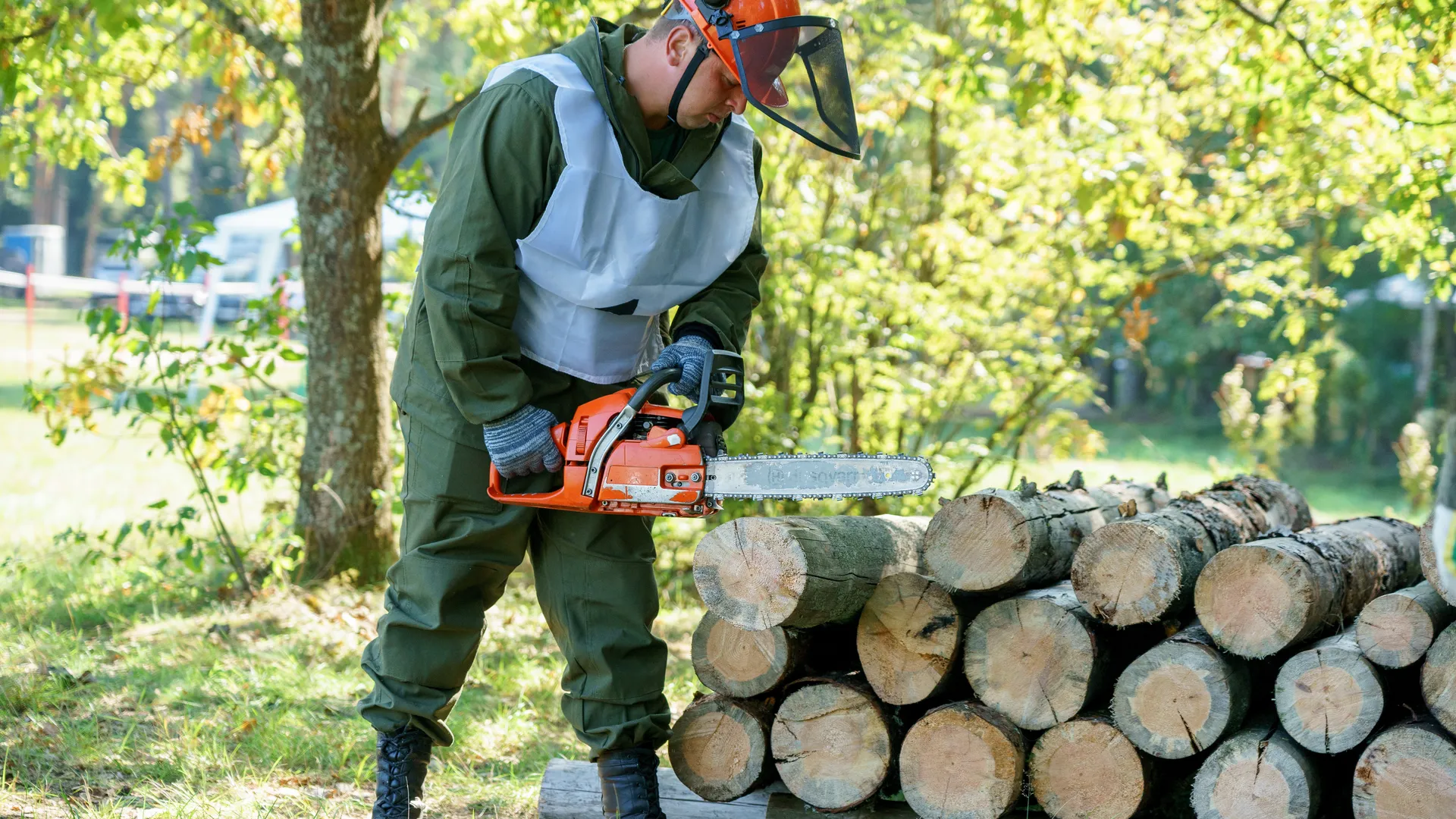 Областной смотр-конкурс на звание "Лесник года" 2024 в округе Воскресенск
