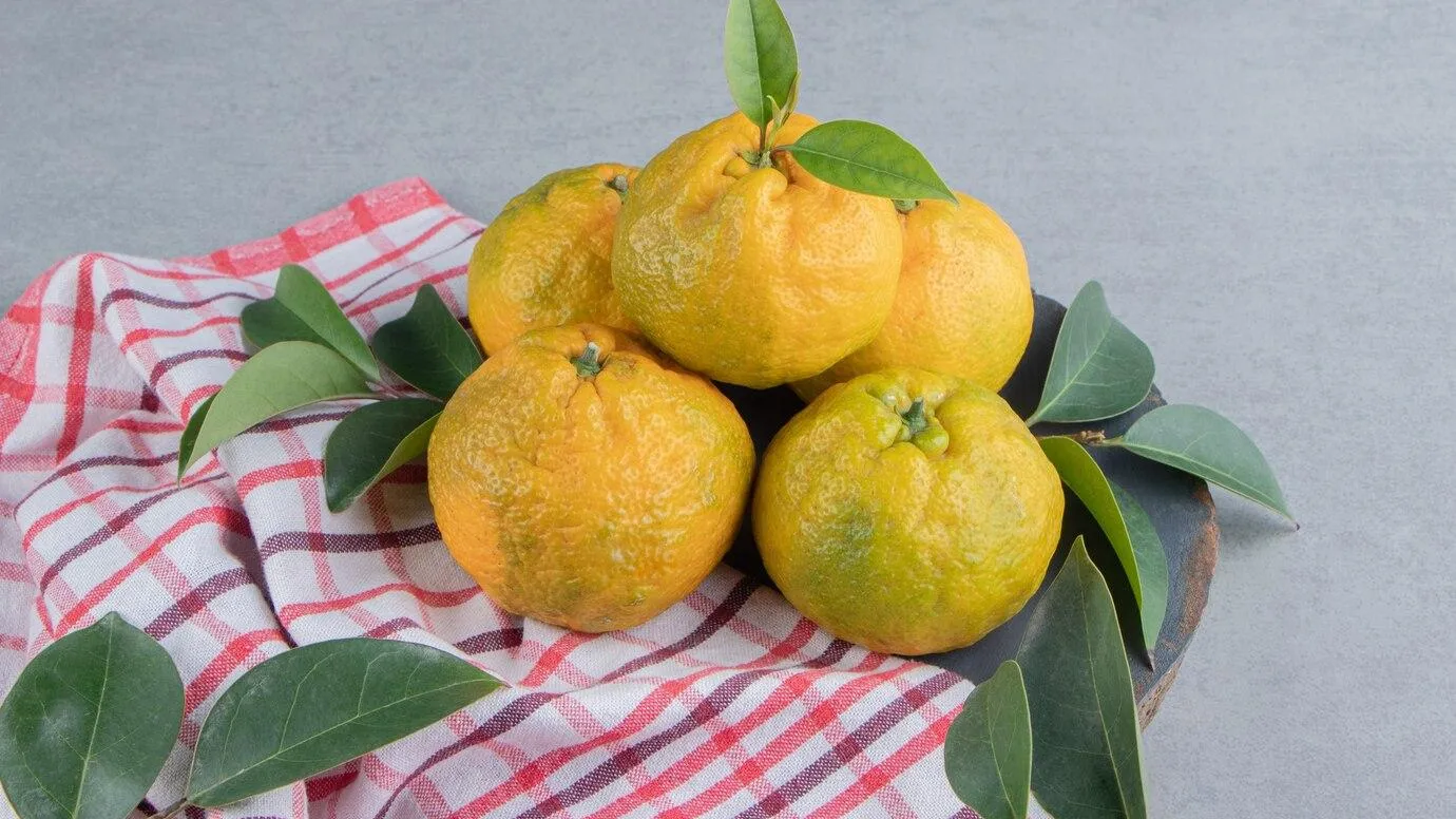 Фото взято с ru.freepik.com