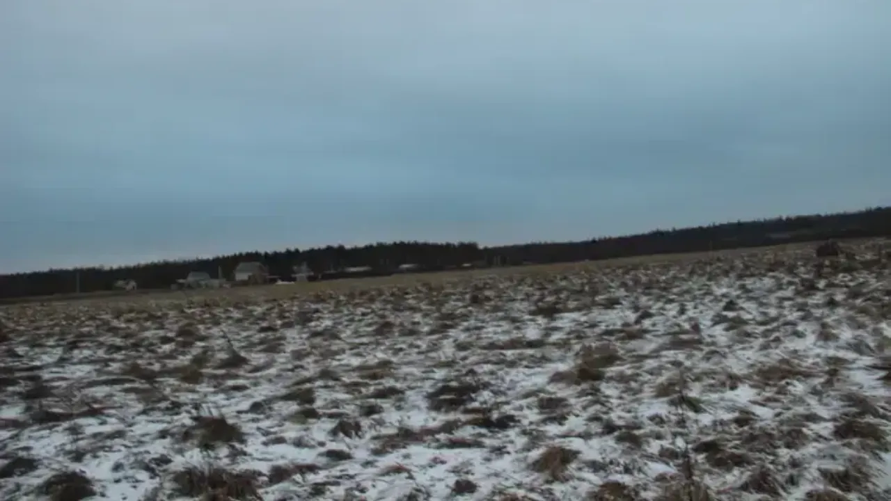 Единый портал торгов Московской области ЕАСУЗ