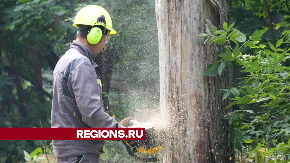 Фото: Дмитрий Зайчиков