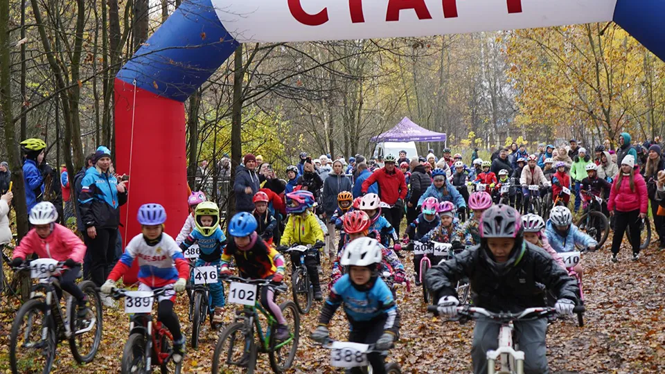 Фото: Медиабанк Подмосковья/Екатерина Елисеева