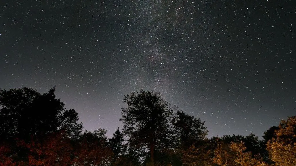 Фото: Игорь Горшков