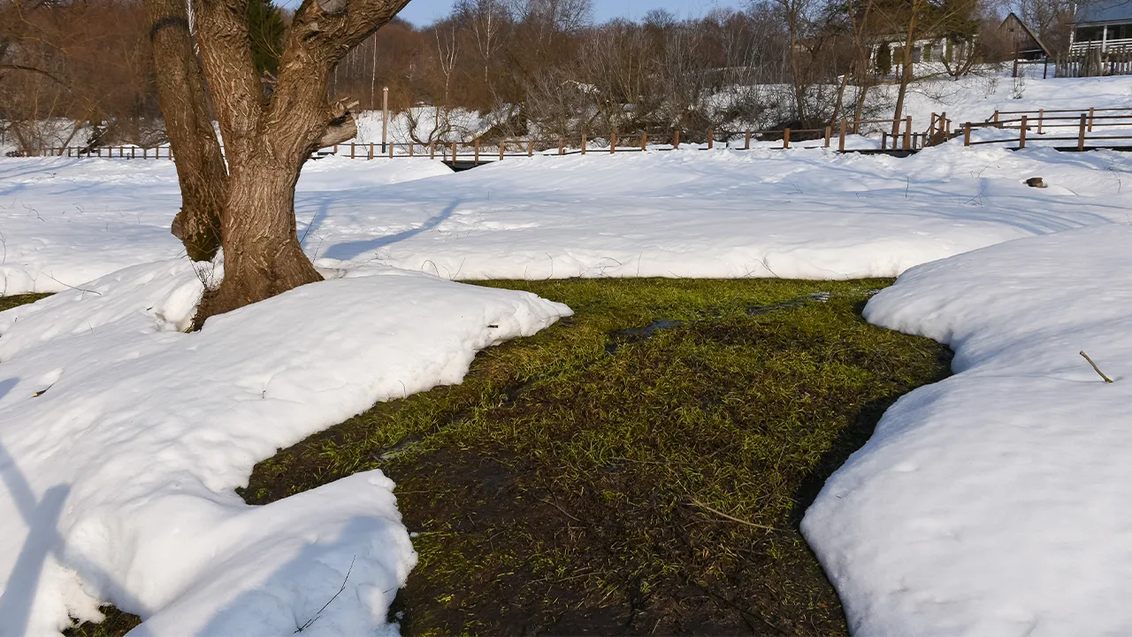 REGIONS/Евгений Мазепов