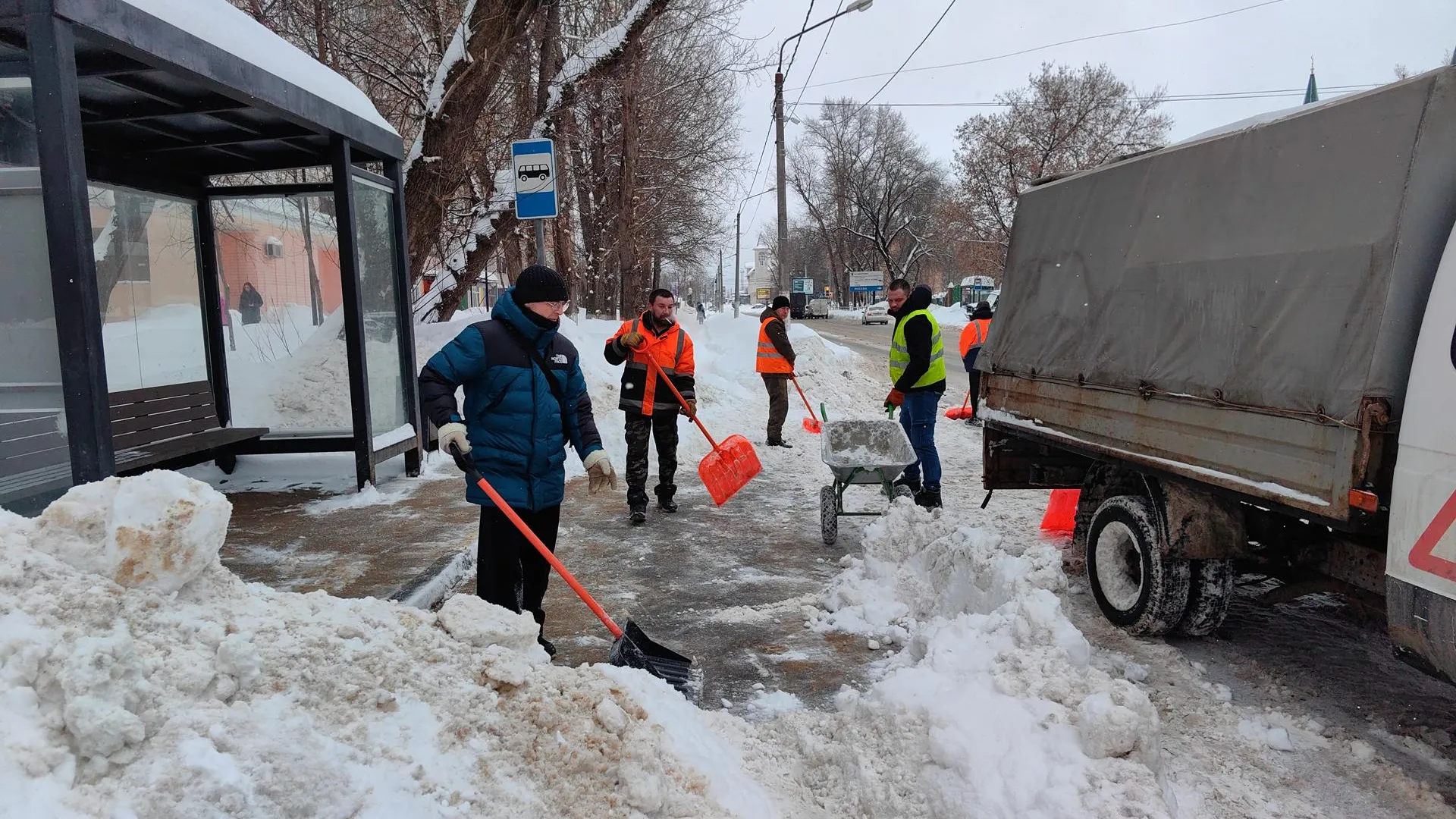 Елена Катасонова