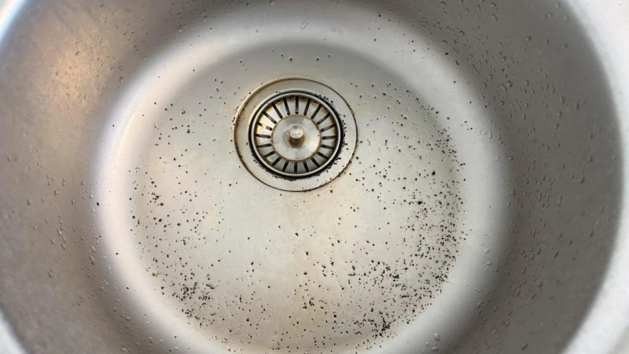 REGIONS/Илья Попов