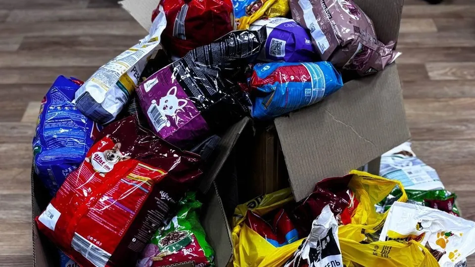 Фото: Пресс-служба администрации г.о. Подольск