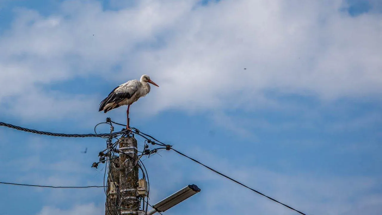 REGIONS/Роман Малышенко