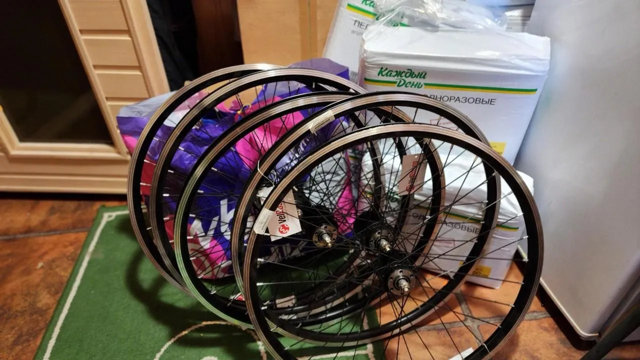 REGIONS/Елена Шумакова