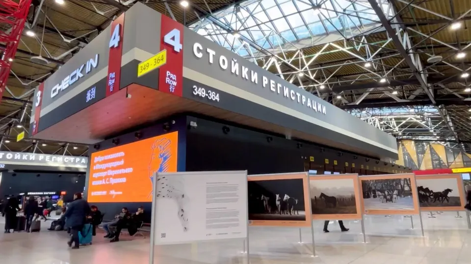 Фото: пресс-служба администрации г.о. Химки