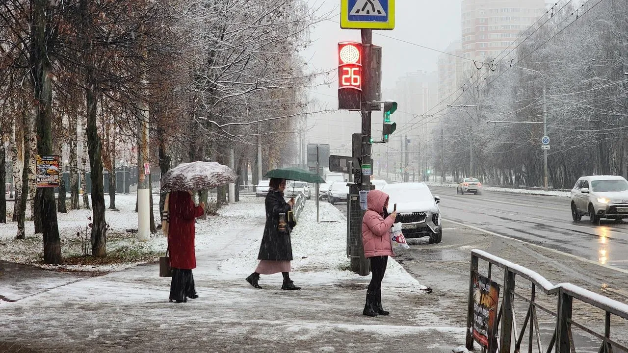 Медиабанк Подмосковья/Мария Шигорева