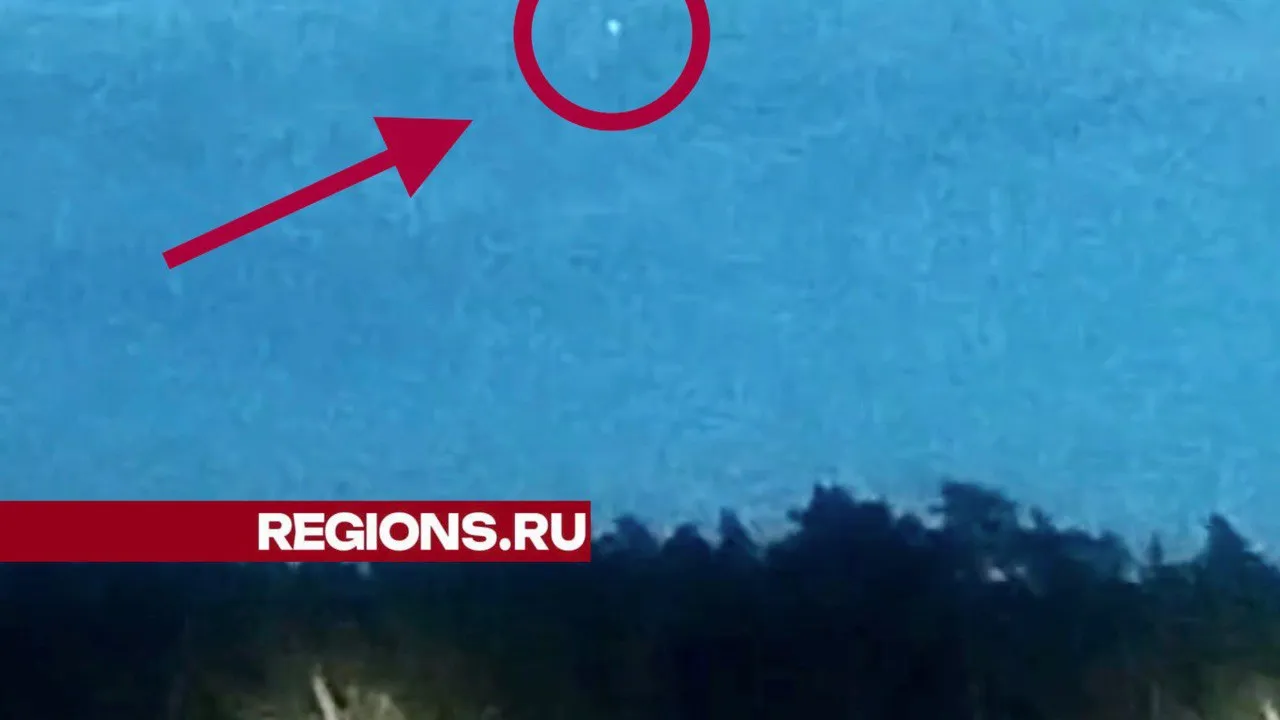 Фото: соцсети