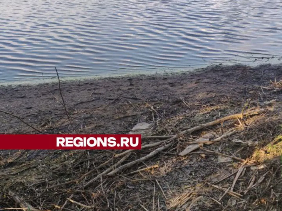 Фото: t.me/rusavkino_romanovo