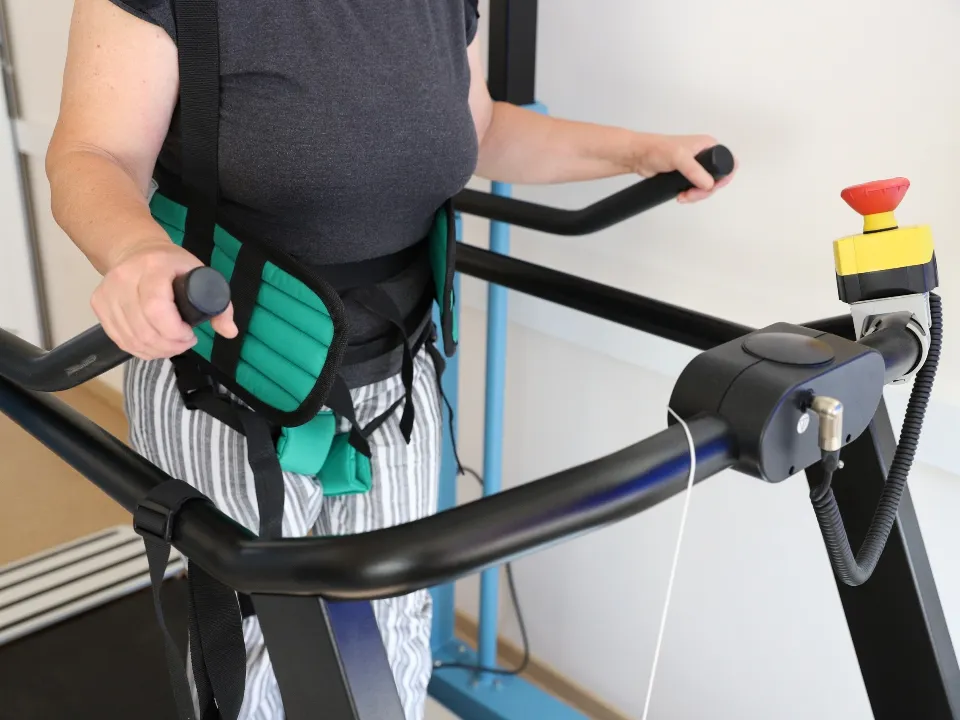 Фото: пресс-служба администрации г.о. Химки