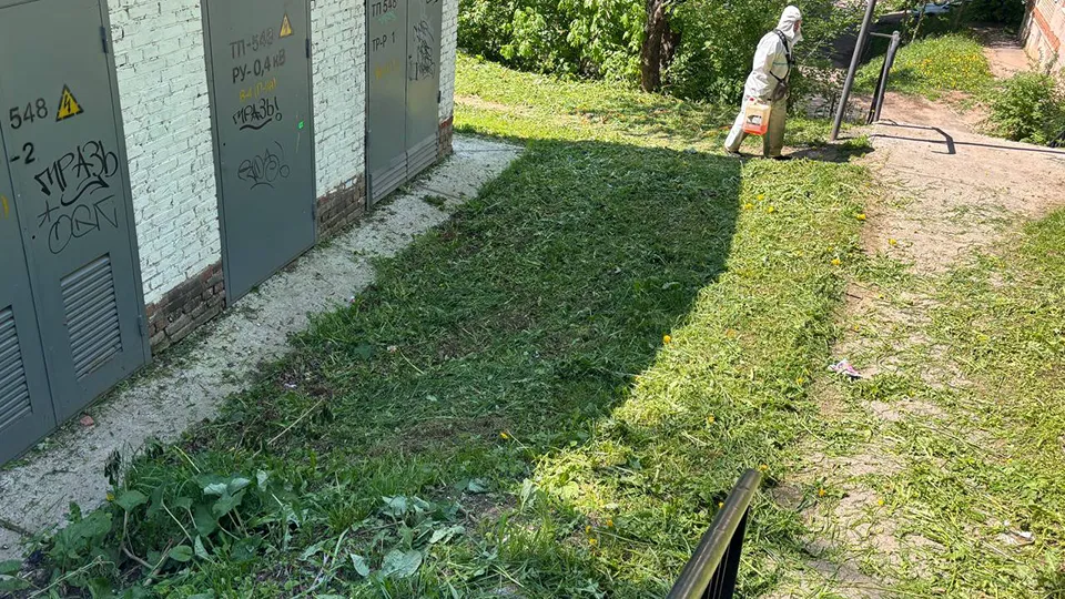 Фото: МБУ «Городское хозяйство»