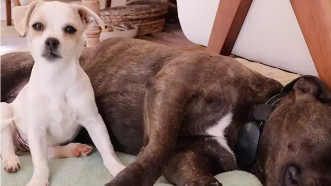 личный архив семьи Гайнутдиновых