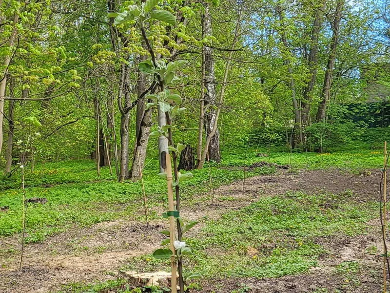 Фото:&nbsp;t.me/ Власиха: вчера,сегодня, завтра