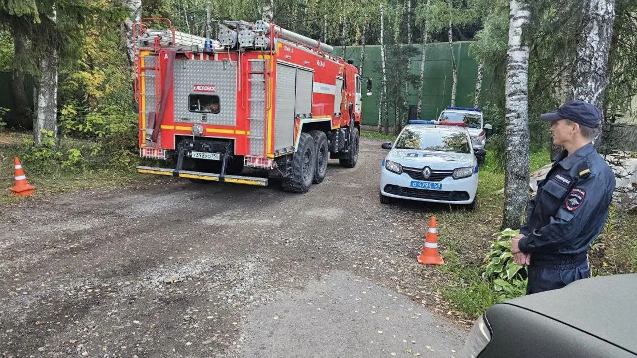 Источник: Telegram-канал «Подмосковье сегодня»