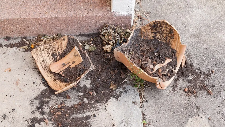 Фото: istockphoto.com/Bigpra