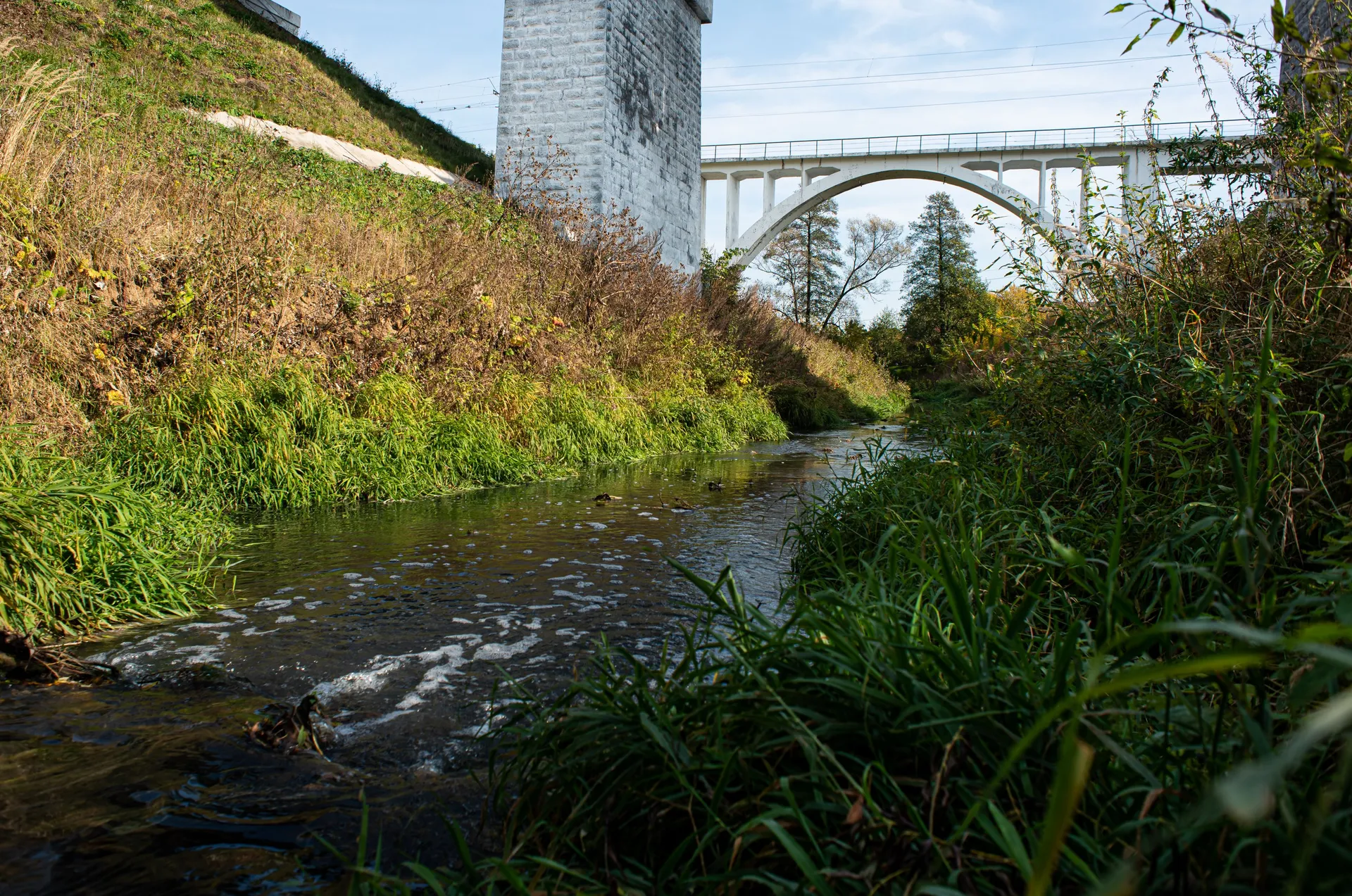 Фото: медиасток.рф