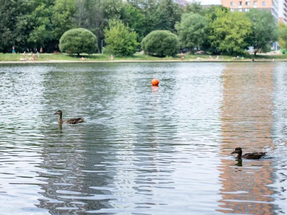 Фото: администрация городского округа Люберцы