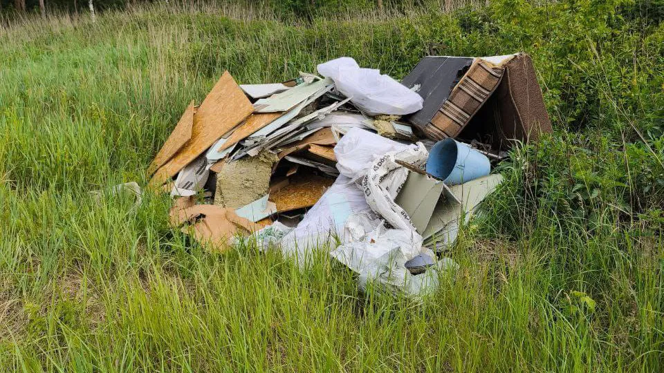 Фото: МедиаБанк Подмосковья/Виктория Фортуна