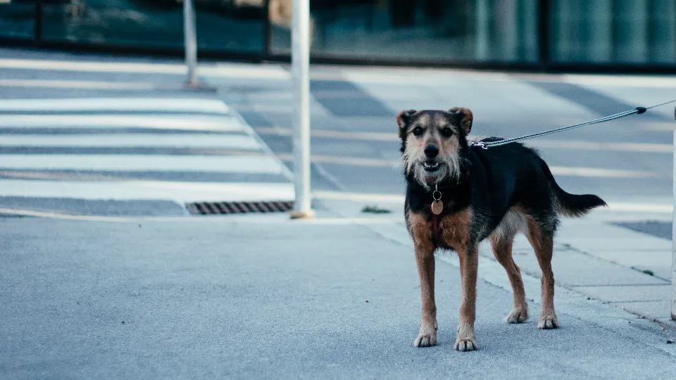 Фото: freepik.com