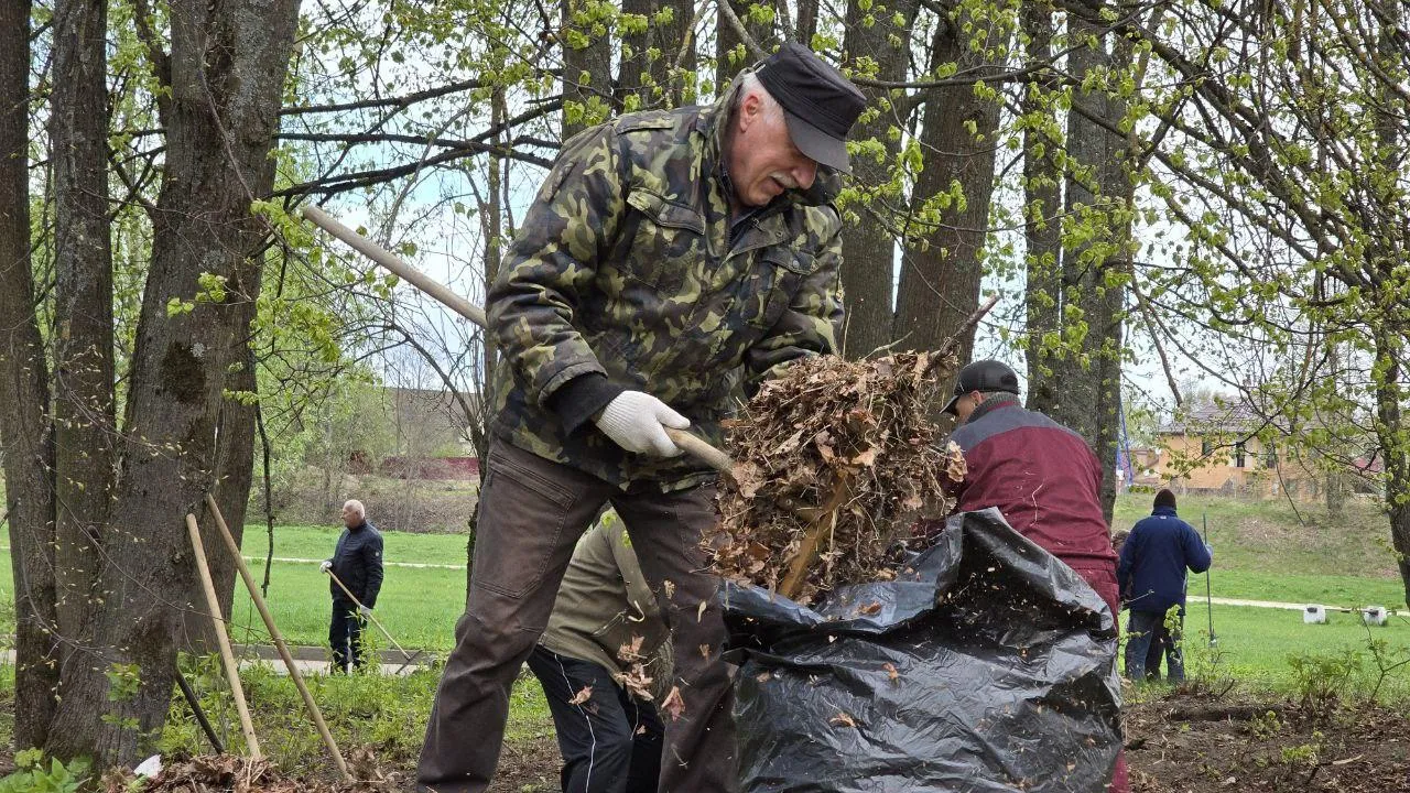 REGIONS/Яна Шаливская
