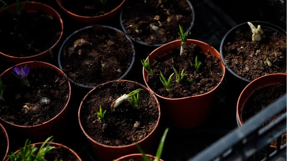 Фото: REGIONS/Наталия Надточая