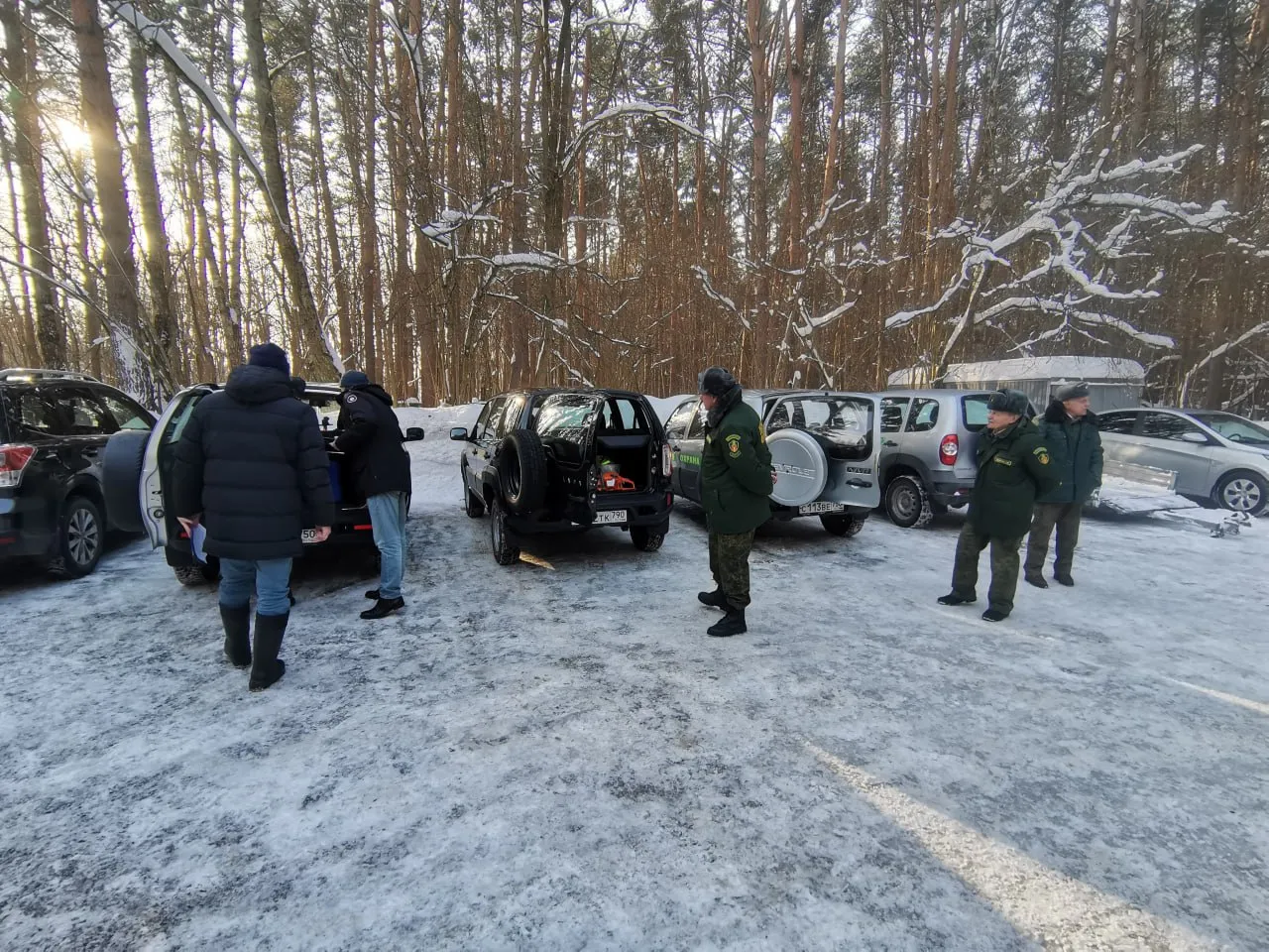 Фото: t.me/podolskoelesnichestvo