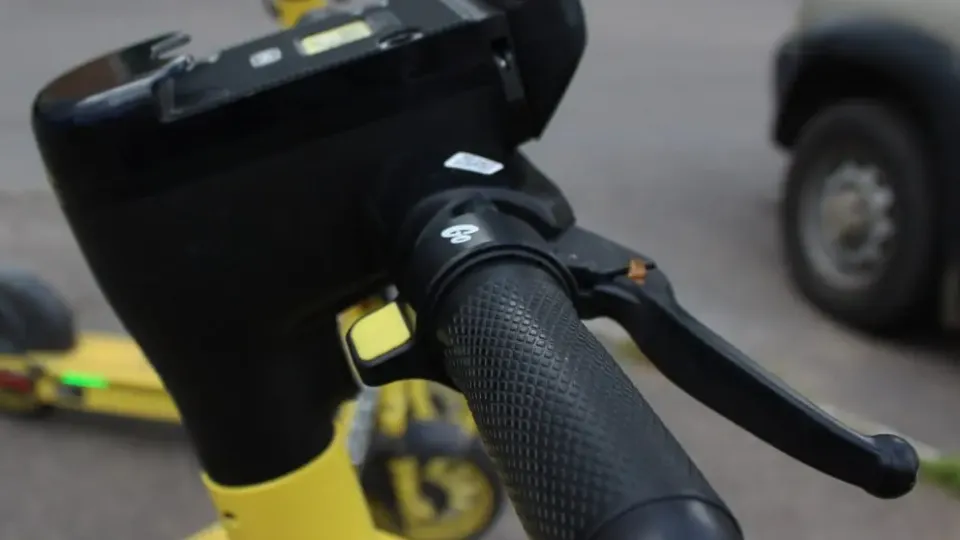 Фото: REGIONS/Анастасия Широкая